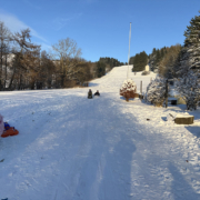 Schlittenfahren auf der Huette